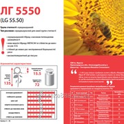 Посевной материал подсолнечника ЛГ5550 (Лимагрейн)