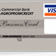 Услуги по обслуживанию платежных карт Visa Business