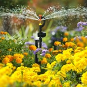 Система полива “Расцветайка“ фото