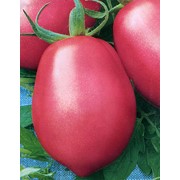 Помидоры «Розовые помидоры» фото