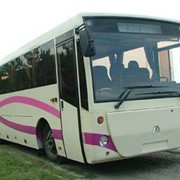 Автобус туристичний “Соняшник“ БАЗ А148.2 фото
