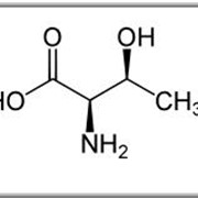 ТРЕОНИН — гидроксиаминокислота