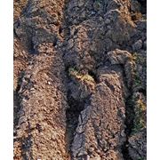 Грунт луговой глинистый подсыпной чернозём торф супесь илистая песок подсыпной овражный речной Продажа фото