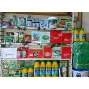 Средства защиты растений, купить (продажа) оптом в Одессе (Одесса, Украина), цена : недорого фотография
