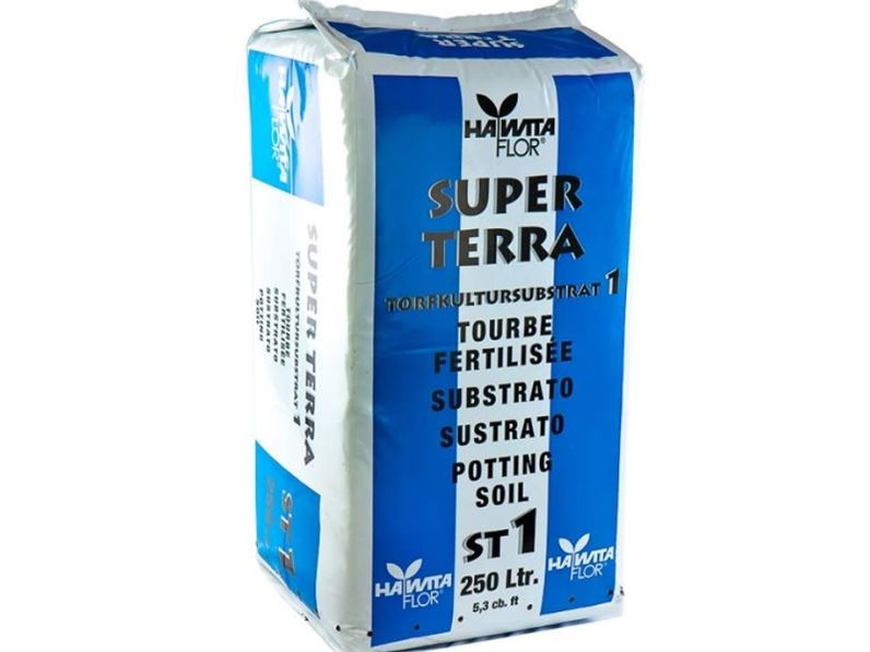 Super terra. Super terra