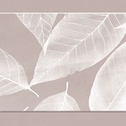 Декоративный триплекс - Белые листья