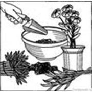 Удобрения микробиологические для растений - гумат калия биогумус гумус