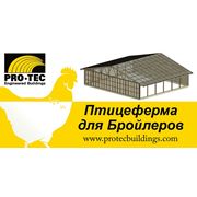 Птичники Pro-Tec