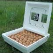 автоматические инкубаторы от 300 до 3000 яиц. фото