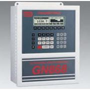 Расходомеры природного газа стационарные GN868 фото