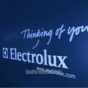 Ремонт техники ELECTROLUX ZANUSSI AEG фото