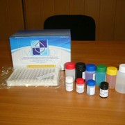 Тест-системы иммуноферментные фотография