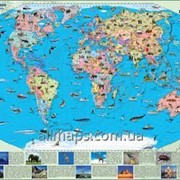 Карта животных мира 110х80 см - ламинированная на планках фото