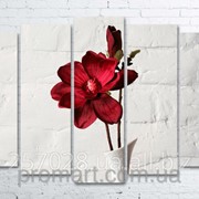 Модульна картина на полотні Червона квітка в білій вазі код КМ100150(132)-032 фото
