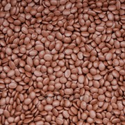 Мастербатч коричневый (polycolor brown 04028)