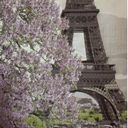 Ткань мебельная Жаккардовый шенилл European Collection Paris фото