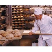 Хлебопекарни различной производительности