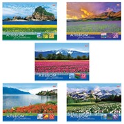 Альбом для рисования, А4, 32 листа, скоба, обложка картон, HATBER VK, 205х290 мм, “Мир в цветах“, 32А4С, фото