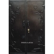 Двери металлические, арт. 863955