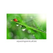 Анализ воды фото