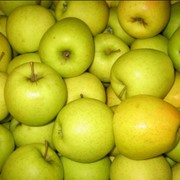 Яблоки зимних сортов Голден продам не дорого