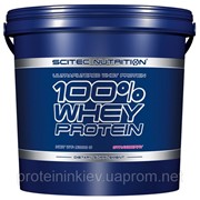 100% Whey Protein Scitec Nutrition 5000 грамм фото