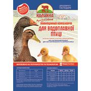 Полнорационный комбикорм Калинка-10ВП для молодняка водоплавающей птицы (21-49 дней)
