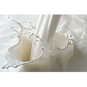 Замінник молока виробництво Іспанія-Україна з 10-го дня.
