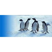 Ремонт холодильного оборудования фото