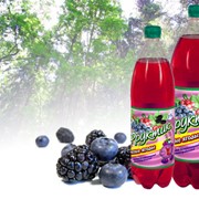 Напиток безалкогольный низкокалорийный сильногазированный с ароматом граната и лесных ягод (0.5, 1.25, 2литра) фотография