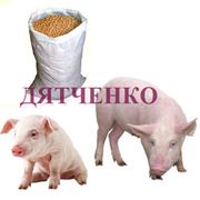 Комбикорм для свиней изготовление продажа поставка фото