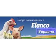 Препараты Elanco для свиней и птиц