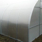 Теплица с поликарбонатом 3*2,1*4 м (0,65 м шаг дуги / 1,5 листа ПК 4 мм) АГРО фото