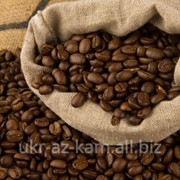 Самый вкусный и ароматный зерновой кофе – 100% Арабика (Камерун)