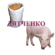 Белково-минеральные добавки для свиней 3% продажа поставка фото