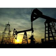 Реагент крахмальный для буровых растворов в нефтегазовой отрасли