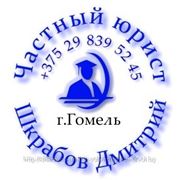 Представительство в хозяйственном суде Гомельской области