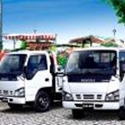 Автомобили грузовые Isuzu фото