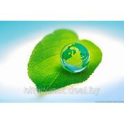 Лицензия на обращение с озоноразрушающими веществами фото