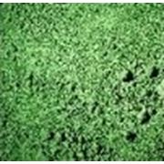 Пигмент зеленый Окись хрома Чехия G820 фото
