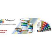 Цветные пасты Polipigment™ - полипигмент