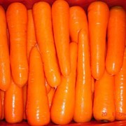 Морковь очищенная в вакууме фотография
