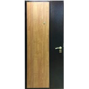 Металлические двери компании “Русдом“ модель ДМ6 (2 цвета) фото