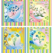 Квиллинг, оригами, цветы из бумаги BG Набор для творчества “Композиция - Первоцветы“ игрушка-аппликация 200*210 фото