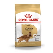 Royal Canin Корм Royal Canin для взрослого кокер-спаниеля с 12 месяцев (3 кг) фотография