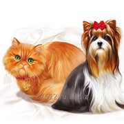 Одноразовые пелёнки для домашних животных (SAP-гелиевые) “ Glamour Cats “ (30х45-10) фото