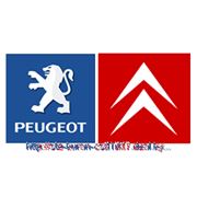 Компьютерная диагностика Peugeot, Citroen фотография