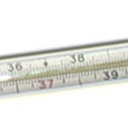 Термометры медицинские фотография