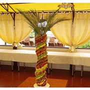 Фруктовая пальма (высота 60 см.) фото