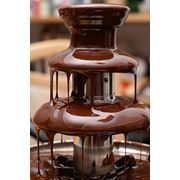 Прокат шоколадный фонтан поп-корн сладкая вата батут фото